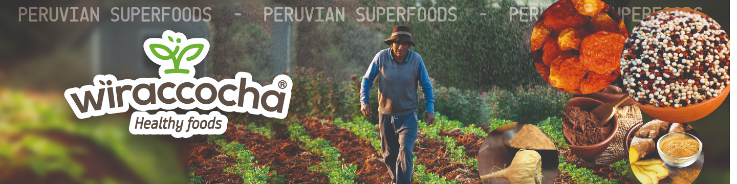 WIRACCOCHA DEL PERU 843