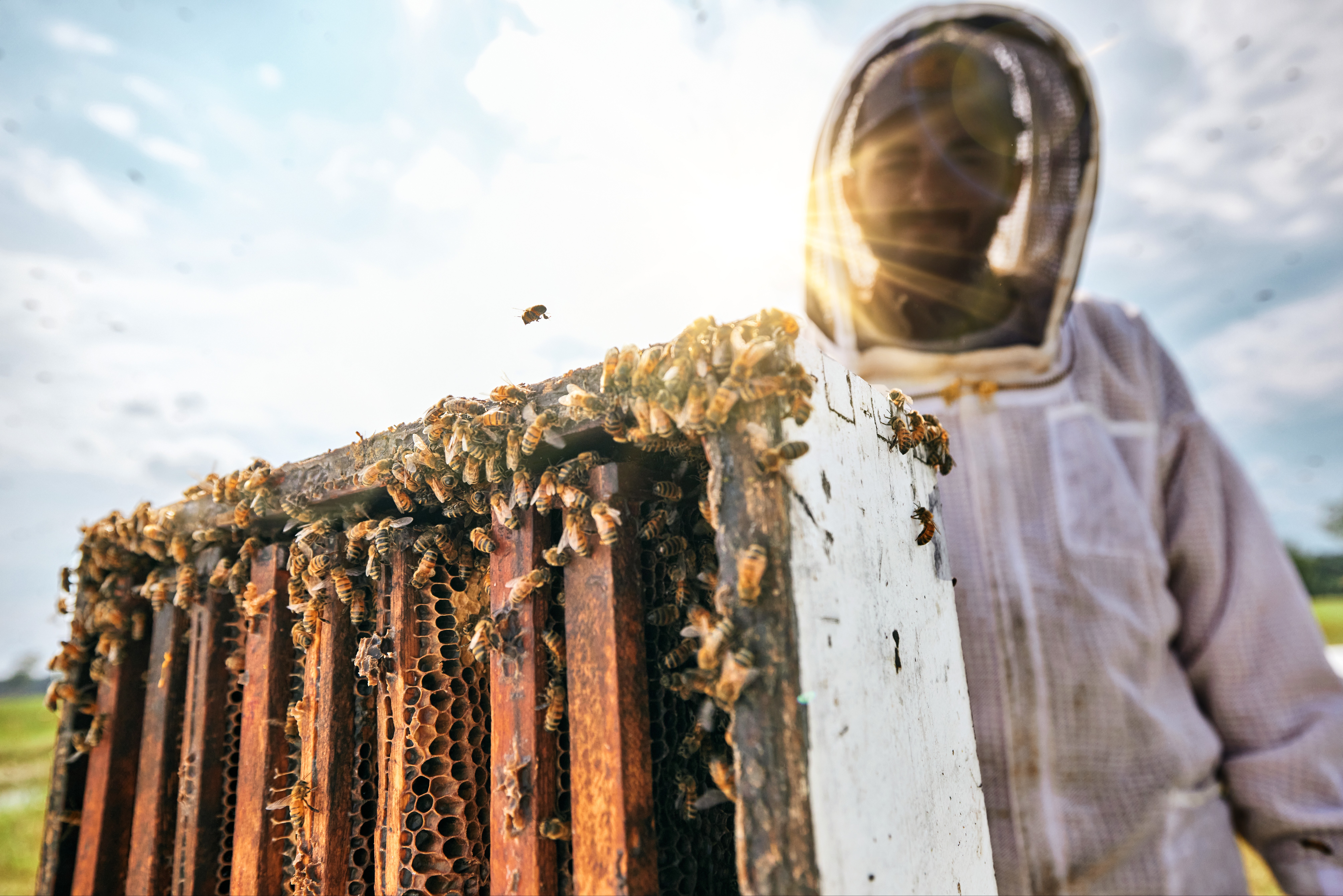 Local Hive™ Proudly Supports the American Beekeeper 103