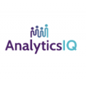 AnalyticsIQ 58