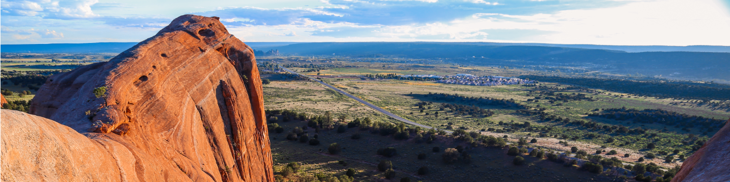 Fort Defiance Indian Hospital Board Inc. 209