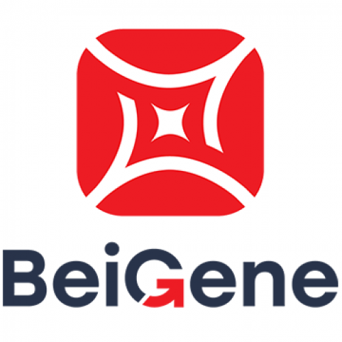 BeiGene USA, Inc. 56