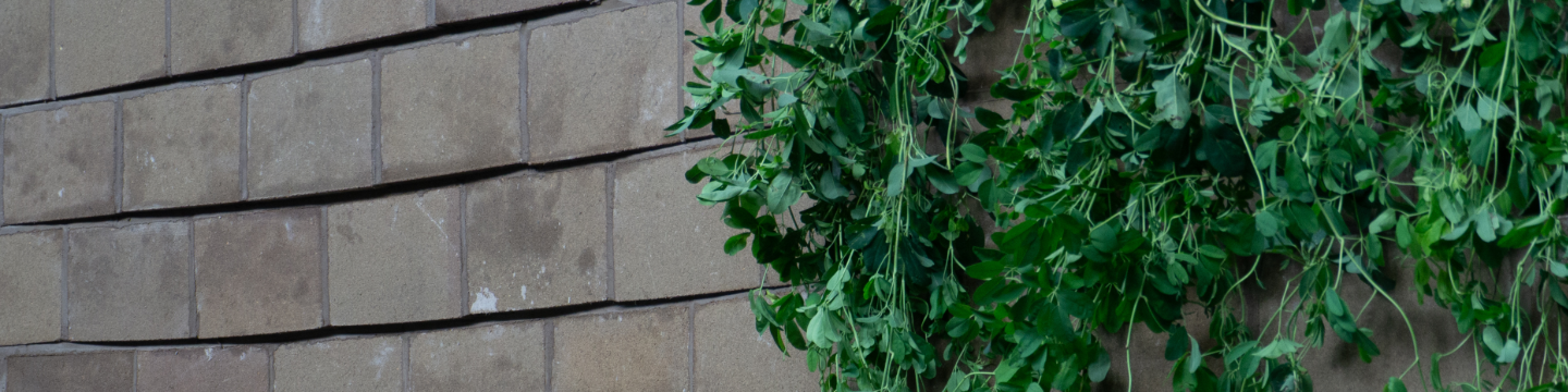 International Masonry Institute 57