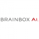 BrainBox AI 241