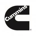 Cummins 31
