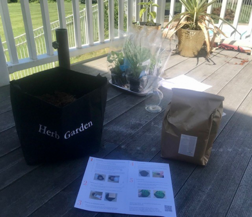 Healthy Nurse, Healthy Nation™ - Champion Spotlight Series - ANA Enterprise 3984