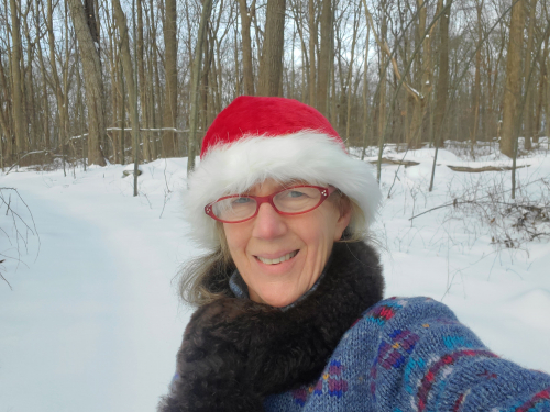 Healthy Nurse, Healthy Nation™ - #healthynurse Spotlight Series - Sandra Foley, DNP, RN 3897