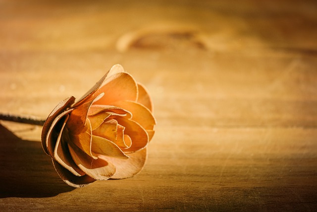 ANA Healthy Nurse, Healthy Nation® Blog: Grieving as a Nurse 4948