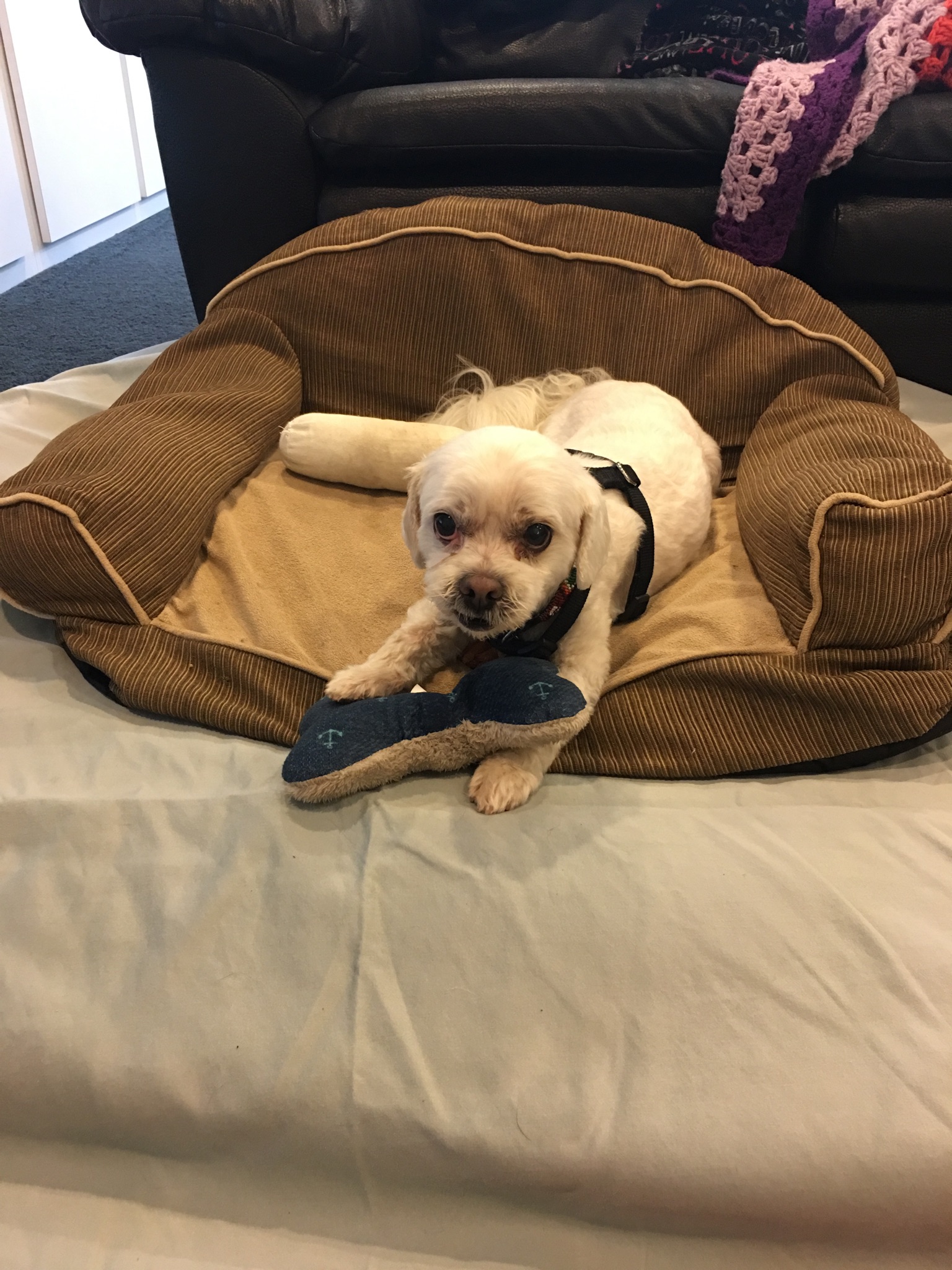 Educate employer on Work Place Safety 2446