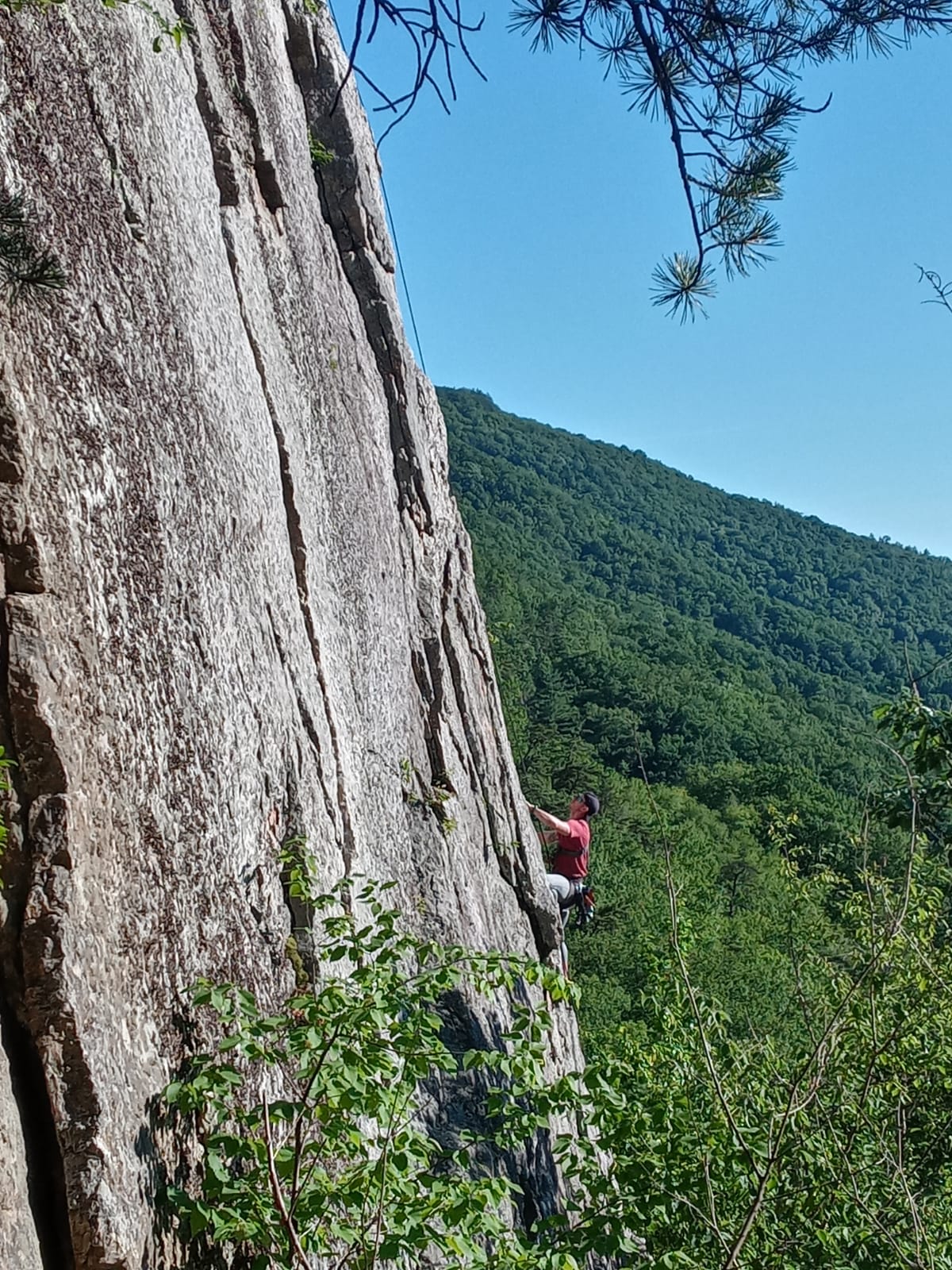 Maintaining Physical Wellbeing 4569