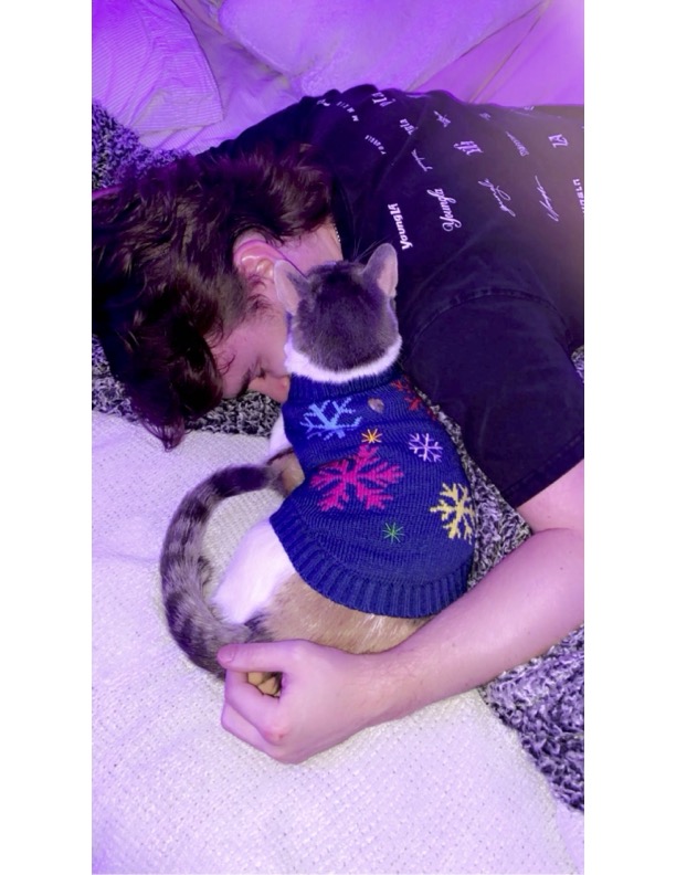 Commitment to Mental Health 5093