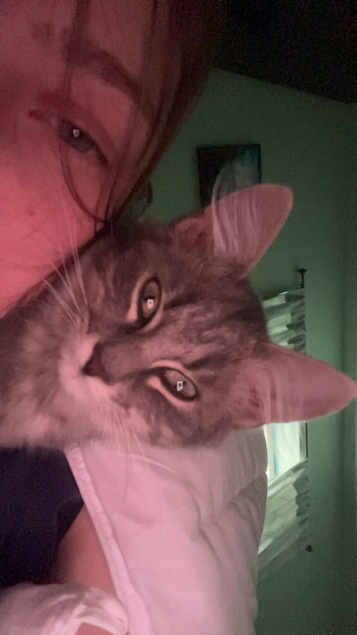 Commitment To 8 Hours of Sleep 5281