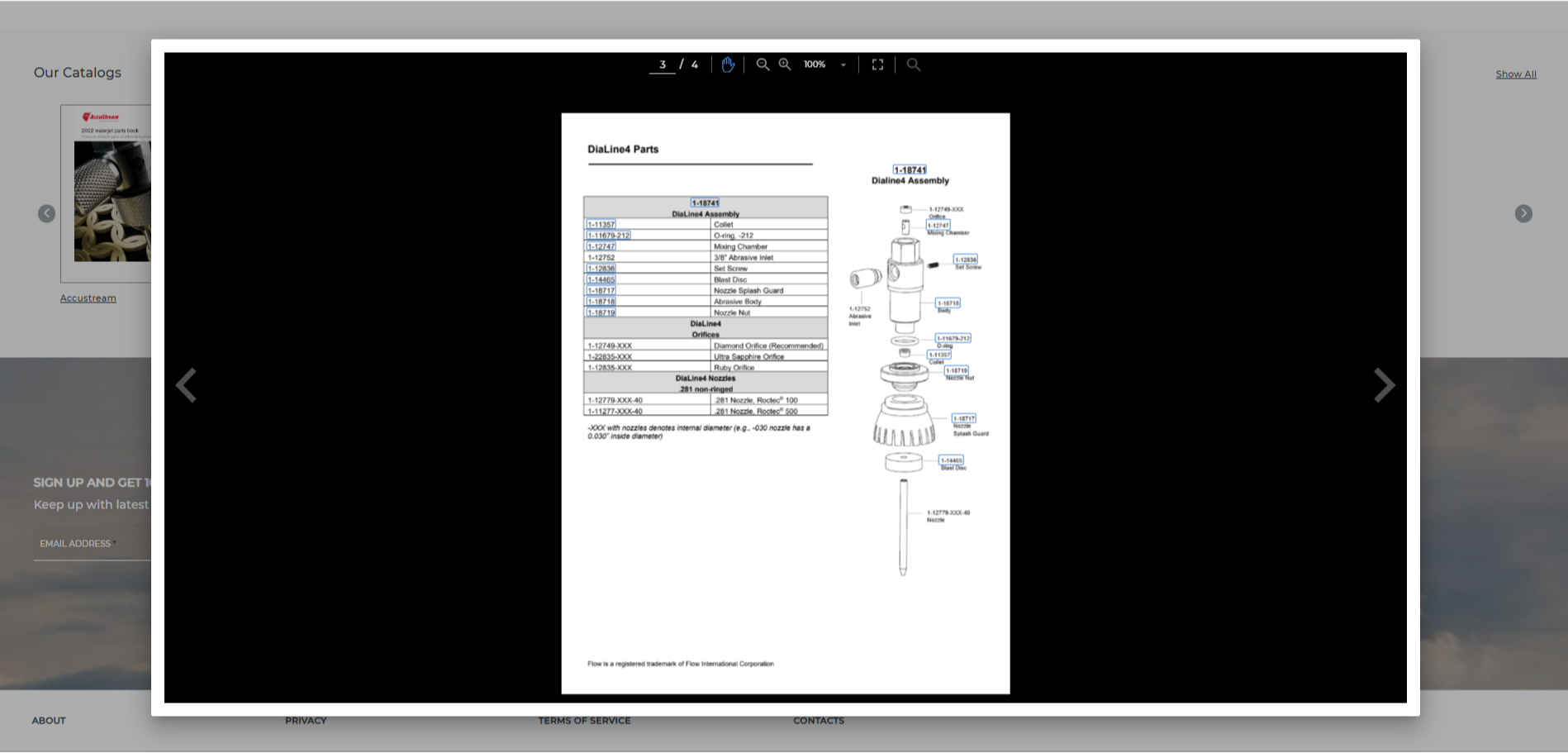 Catalog-Embedded Buying 40