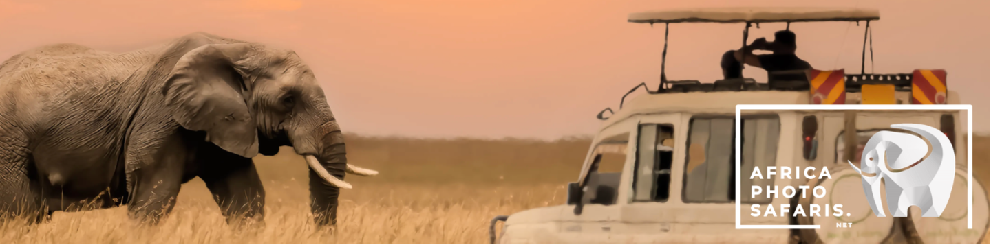 Africa Photo Safaris 155