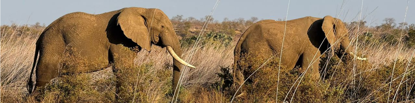 Backcountry Africa 160