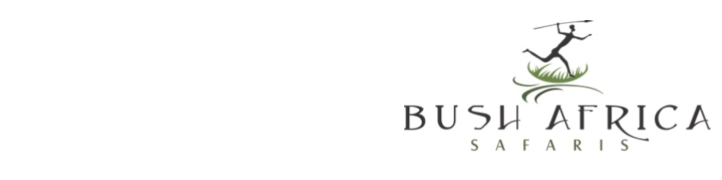 Bush Africa Safaris 42