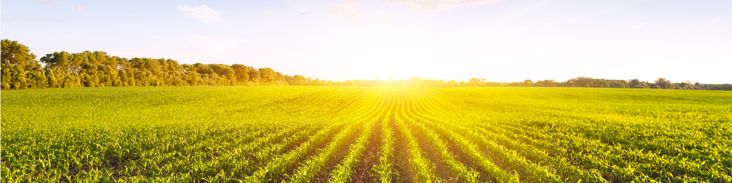 Agri Drain Corporation 429