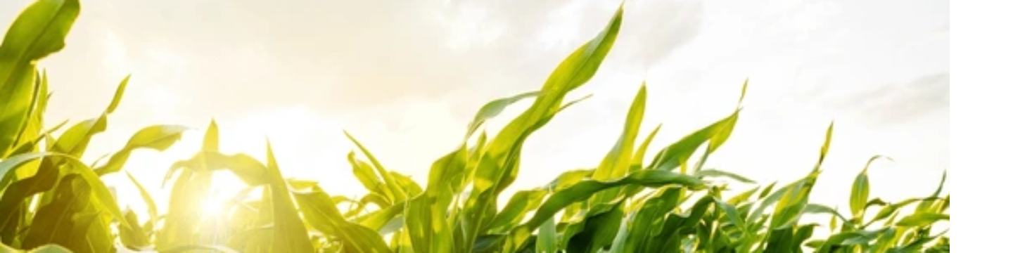 Redox Bio-Nutrients 663