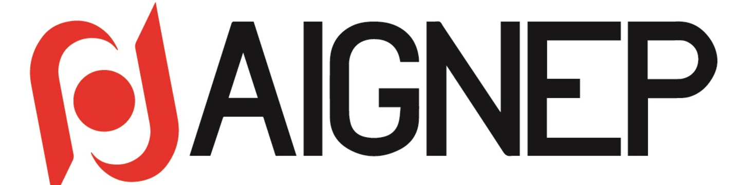 Aignep USA 284