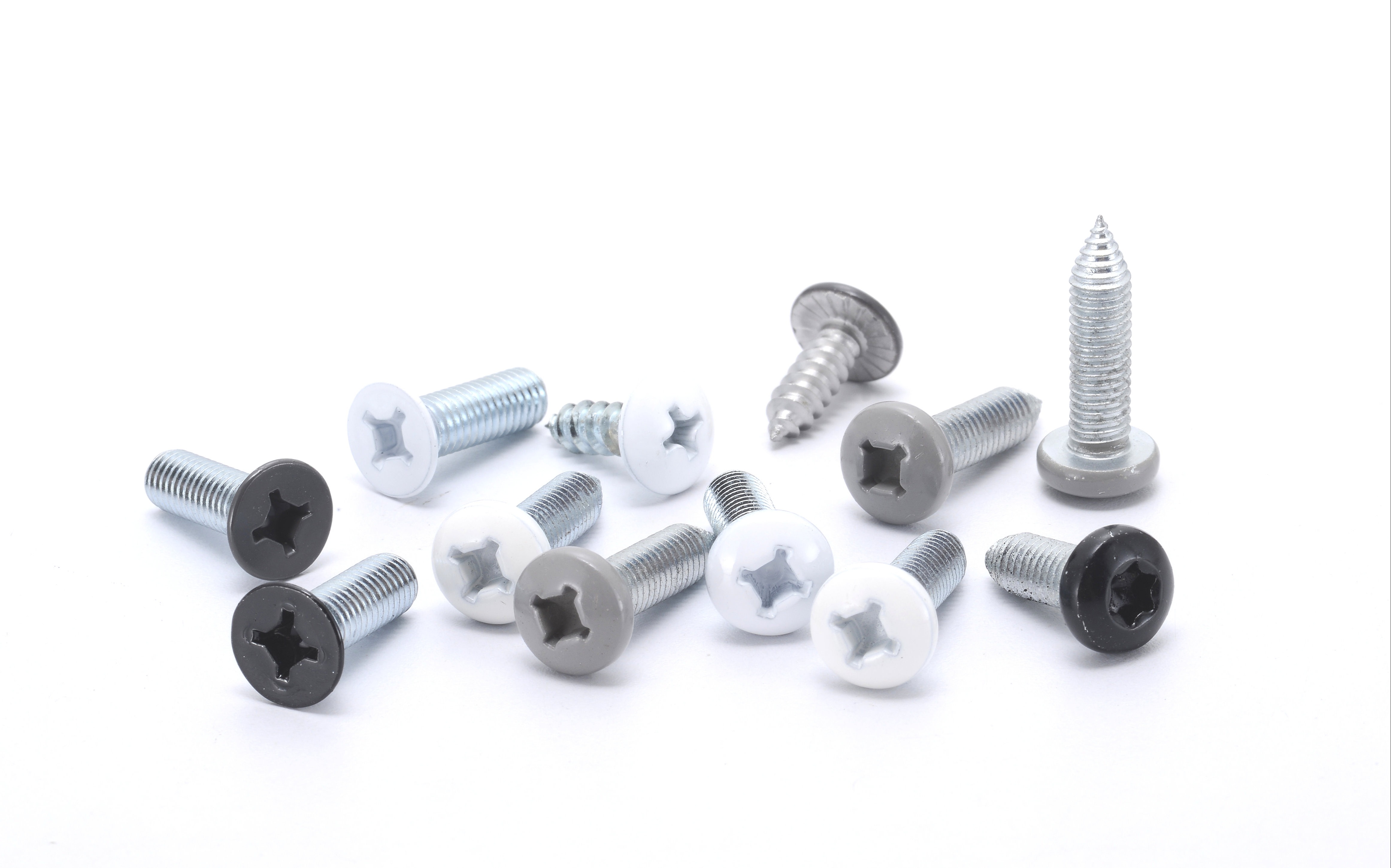 Home Appliance Screw 80