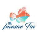 The Invasive Fin 326