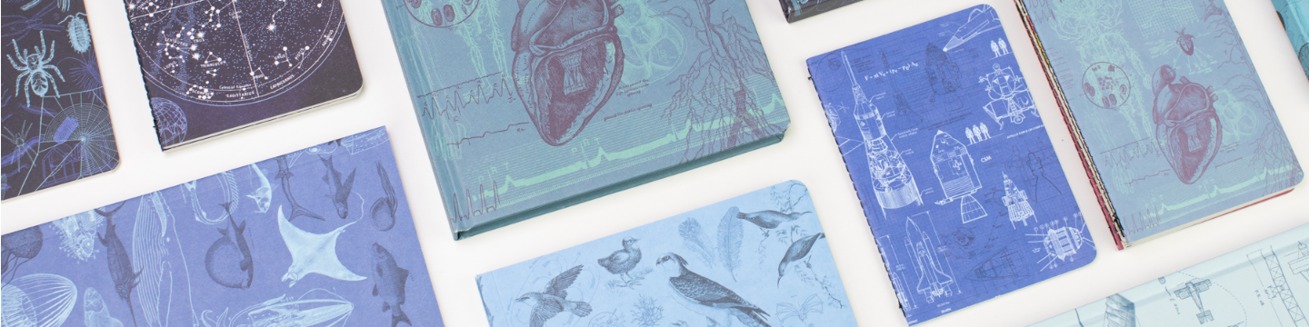 Cognitive Surplus 348