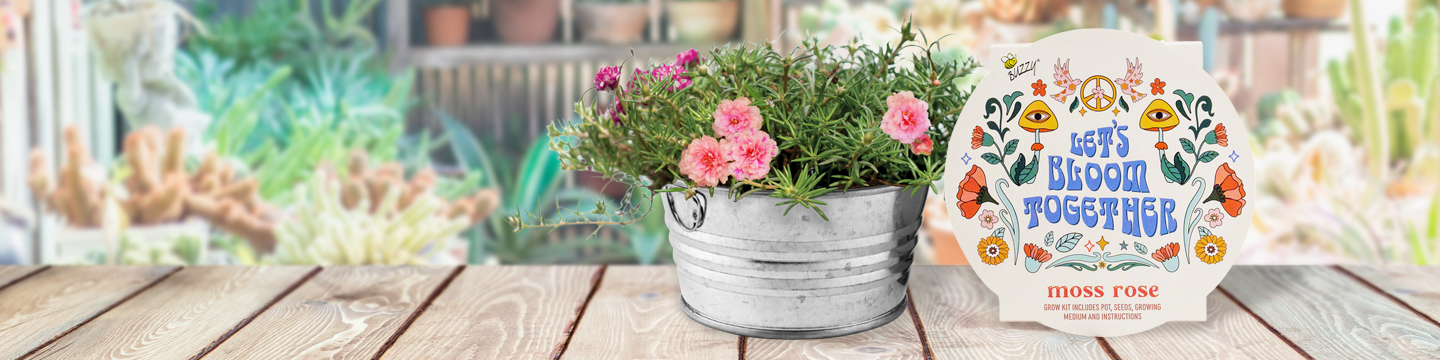 Buzzy Grow Gifts 448