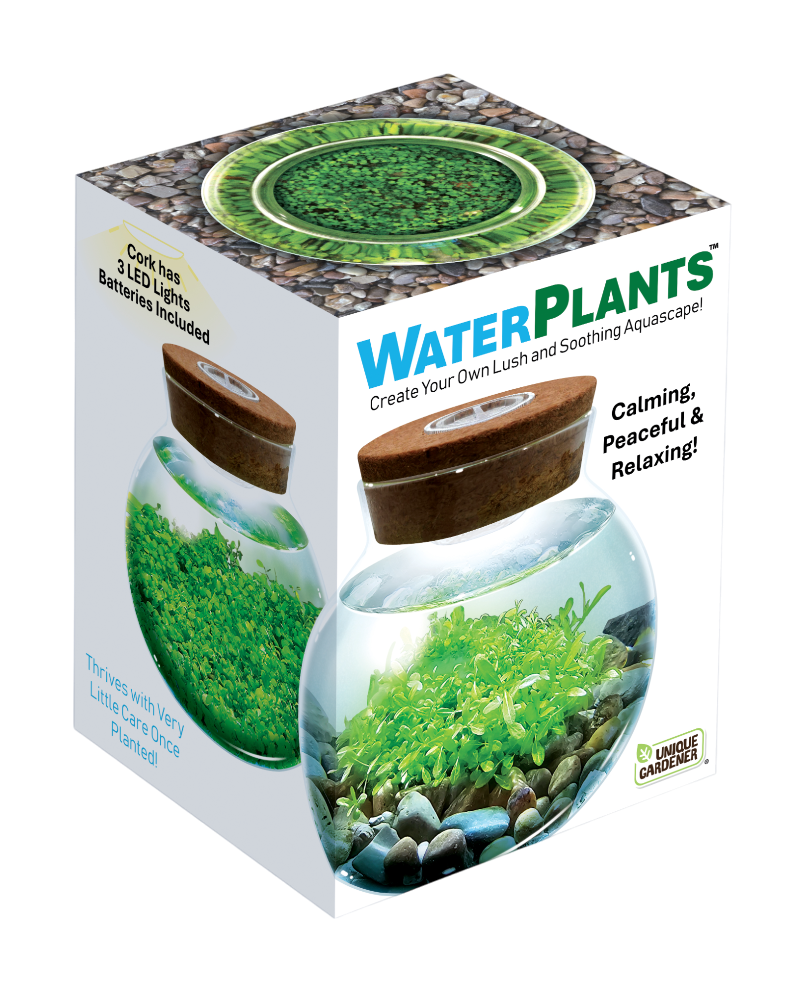 WaterPlants- Grow Lush Aquatic Plants from Seed! Thrives With Minimal Care 169