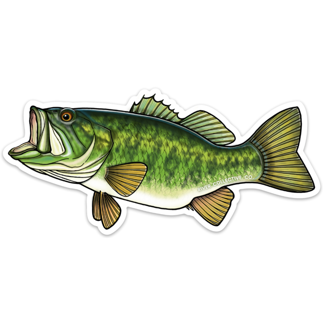 Largemouth Bass Sticker 477