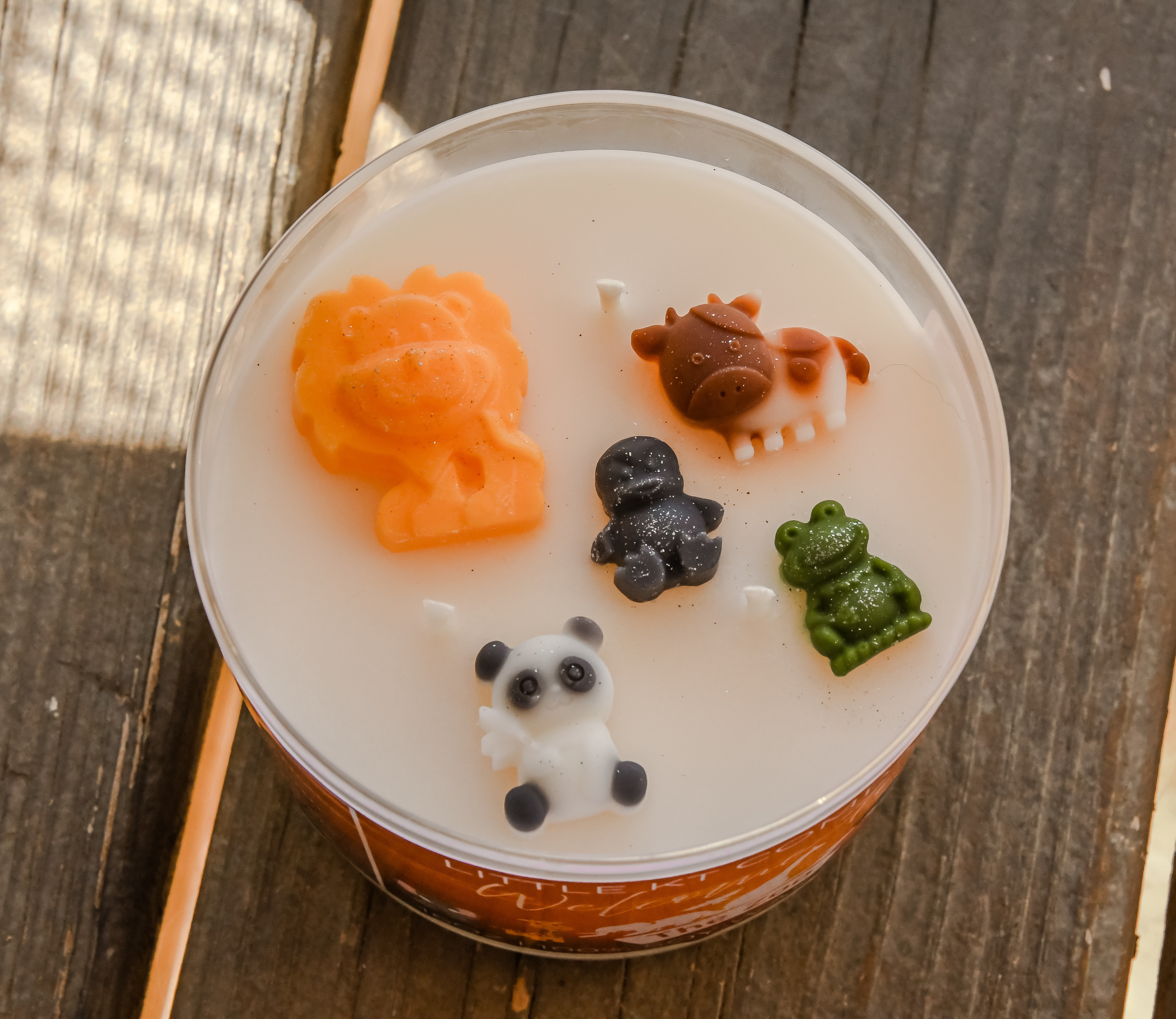 Welcome to the Zoo Candle 527