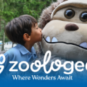 The Petting Zoo DBA Zoologee 223