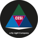 Cole Engineering Services, Inc. (CESI), a By Light company 275