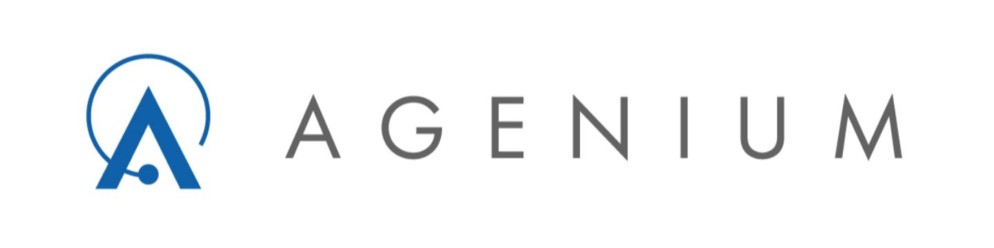 AGENIUM IT & SYSTEMS 522