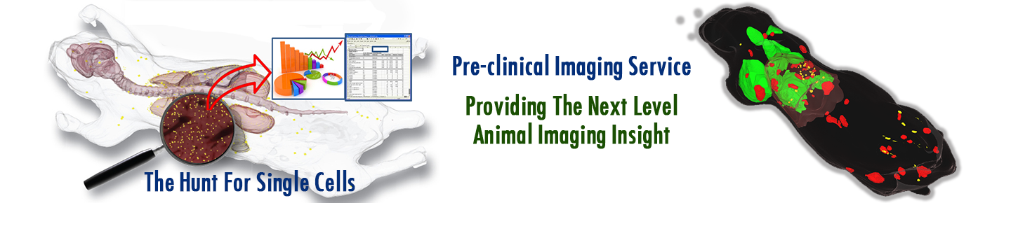 BioInVision, Inc 127