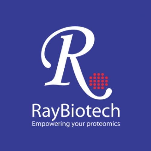 RayBiotech Inc. 78