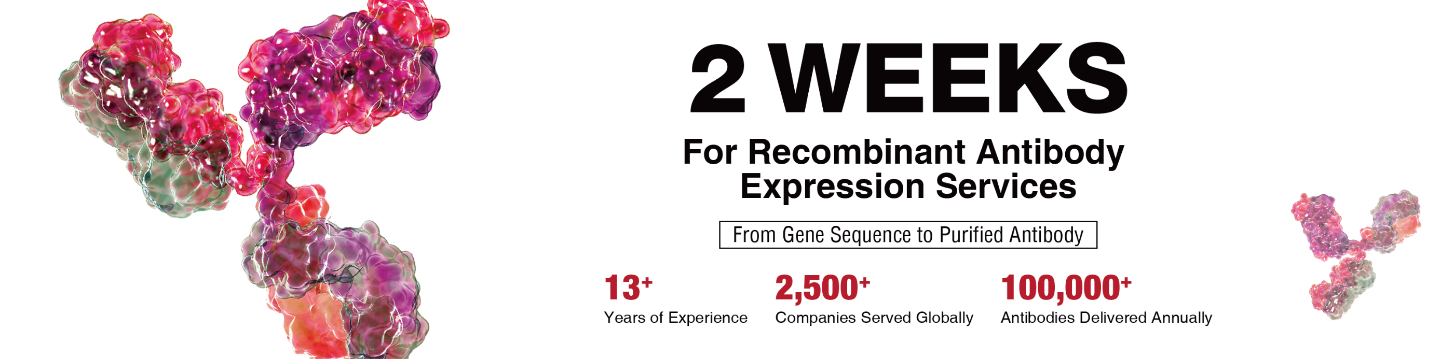 Biointron Biological Inc 149