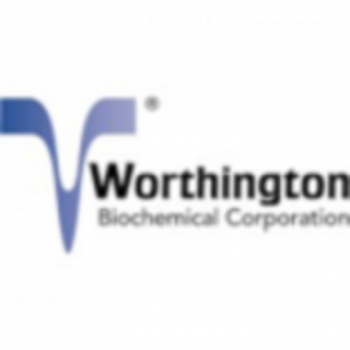 Worthington Biochemical Corporation 39