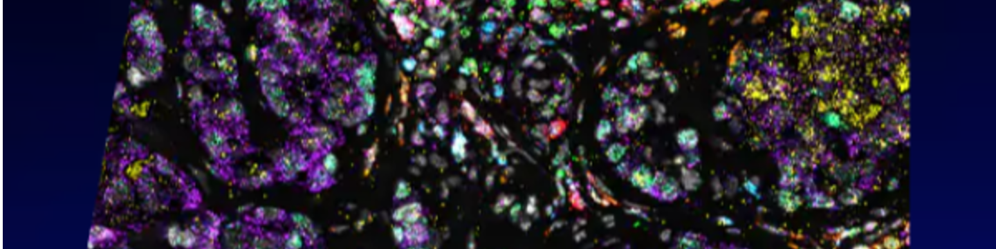 Lunaphore Technologies 58