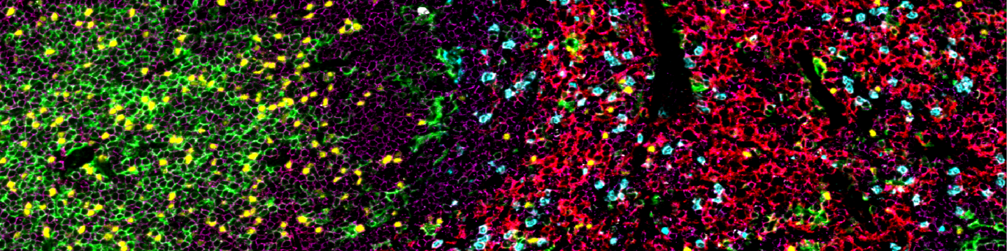 Cell Signaling Technology 76