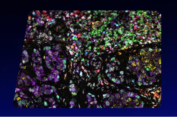 RNAscope™ In Situ Hybridization  | The leader in RNA in situ hybridization 101