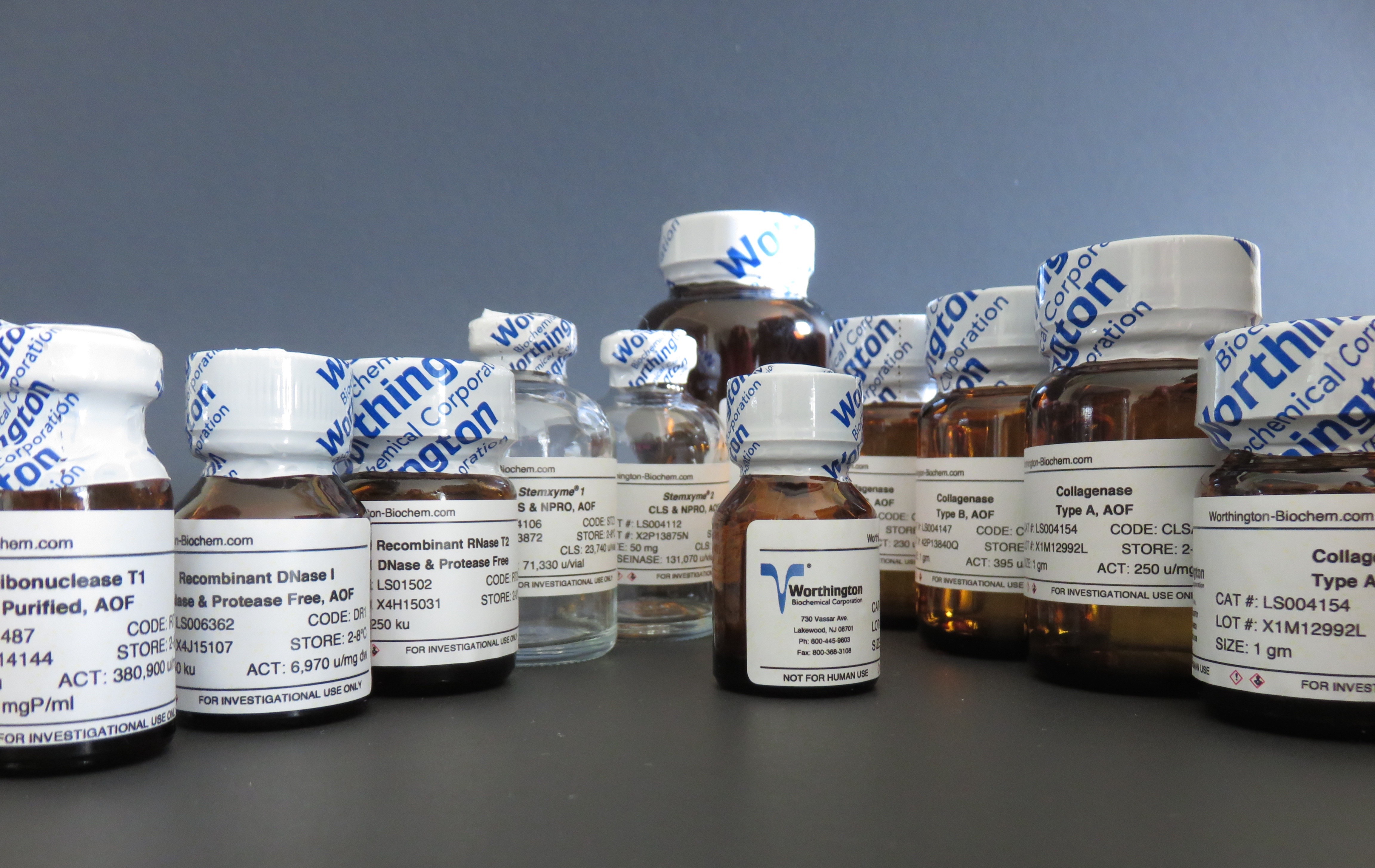 Wothington Collagenase Product Family 173