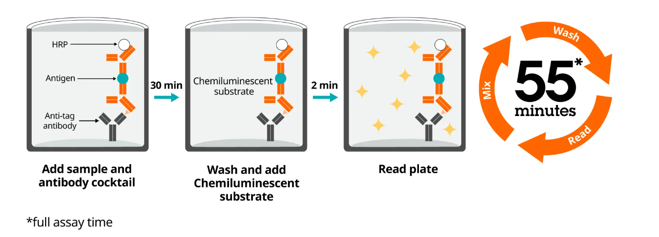 Chemiluminescent SimpleStep® ELISA 82