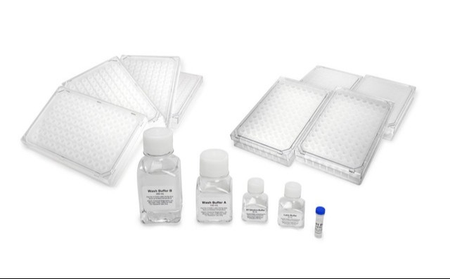 LeukoComplete™ Kits 86