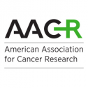 American Association for Cancer Research 56