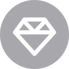 Silver Sponsor