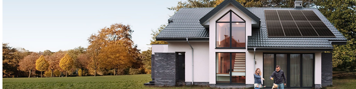 LONGi Solar Technology (U.S.) Inc 100