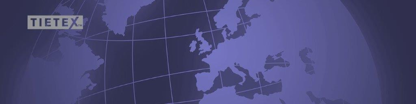 Tietex International, Ltd. 31