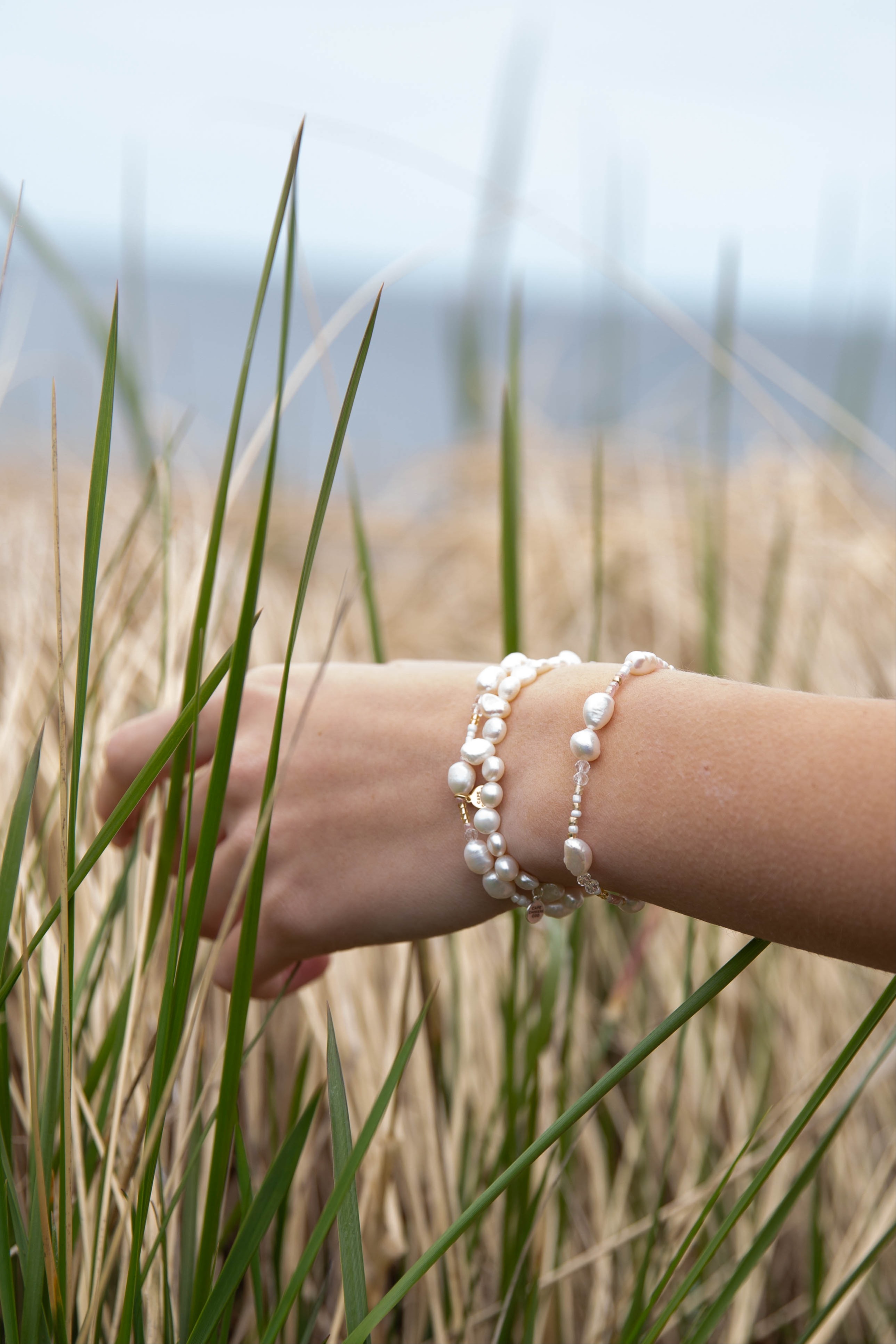 "Free Shipping" + 10% off + Discount on Displays...Schedule in ADVANCE for your bonus FREE GIFT 603