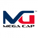Mega Cap, Inc. 175