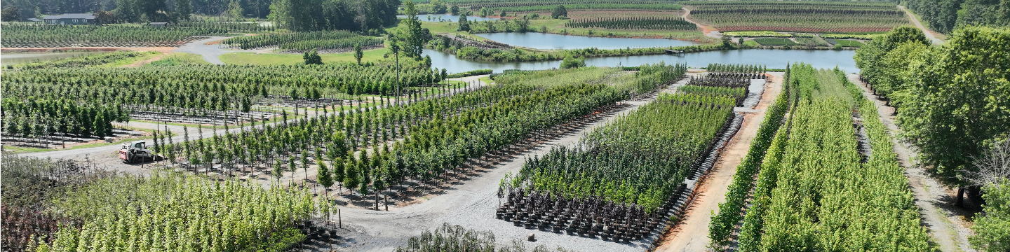 Bryan Wagoner Tree Farm, LLC 365