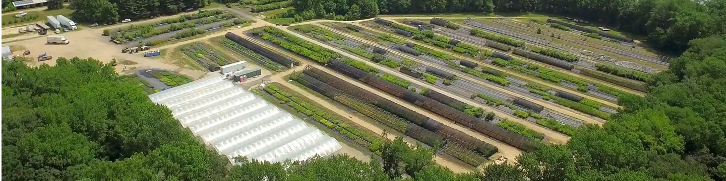 American Native Plants 430